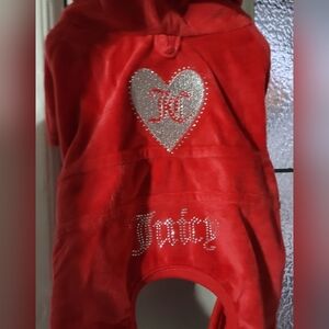 New Juicy Couture Red Velour Dog Tracksuit